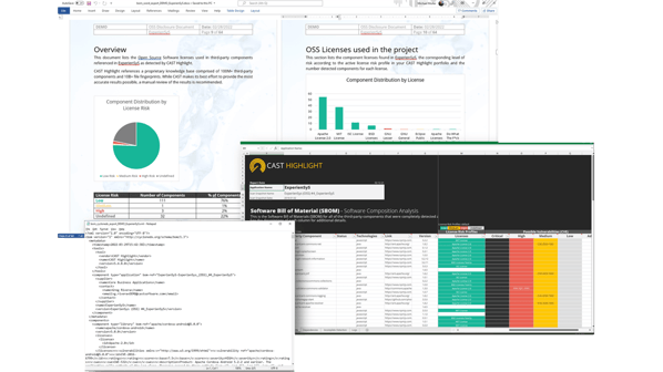 Controllare i rischi open source