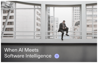 When AI Meets Software Intelligence
