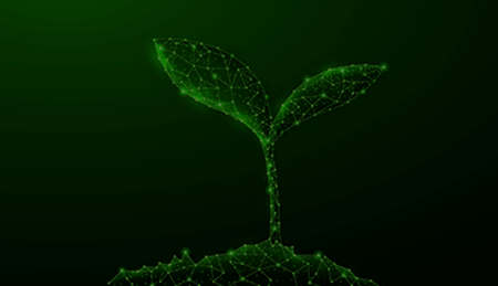 Making Software Greener: Automated Green Software Insights